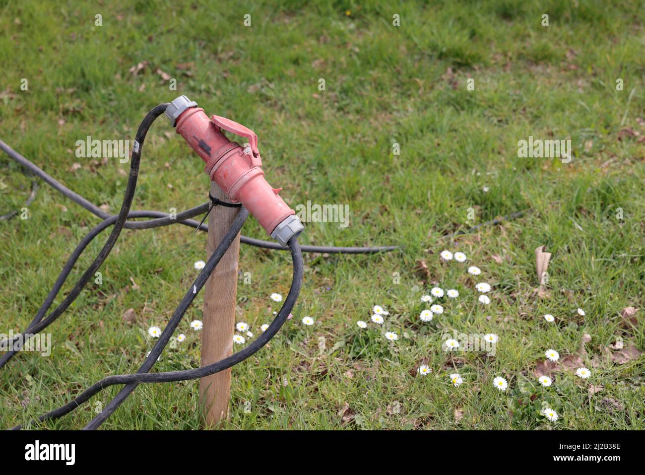 Power cable plugs on a meadow Stock Photo