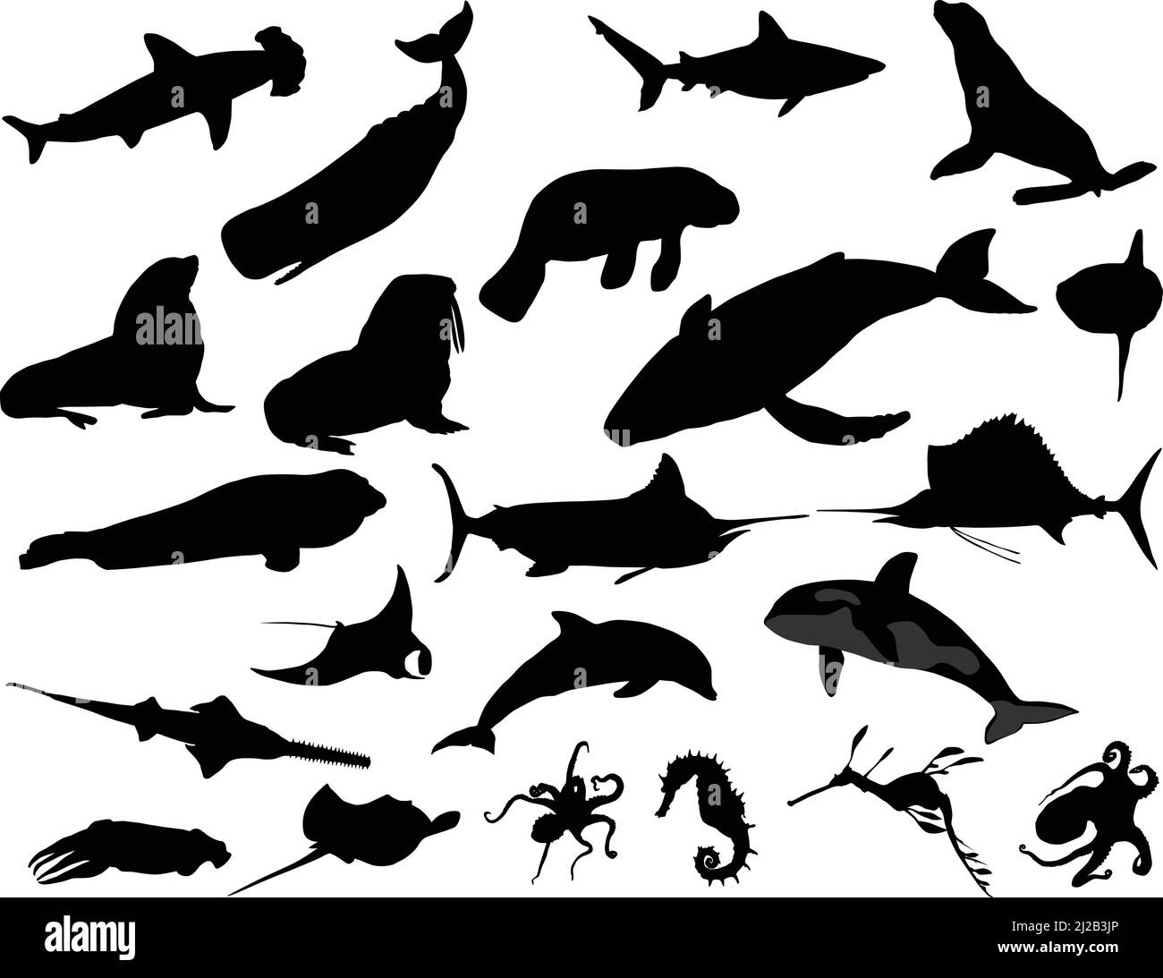 Collection of silhouettes of sea animals: whale, shark, dolphin, octopus, seal, fur seal, walrus, orca, manta, skat, sea horse, marlin, swordfish Stock Vector