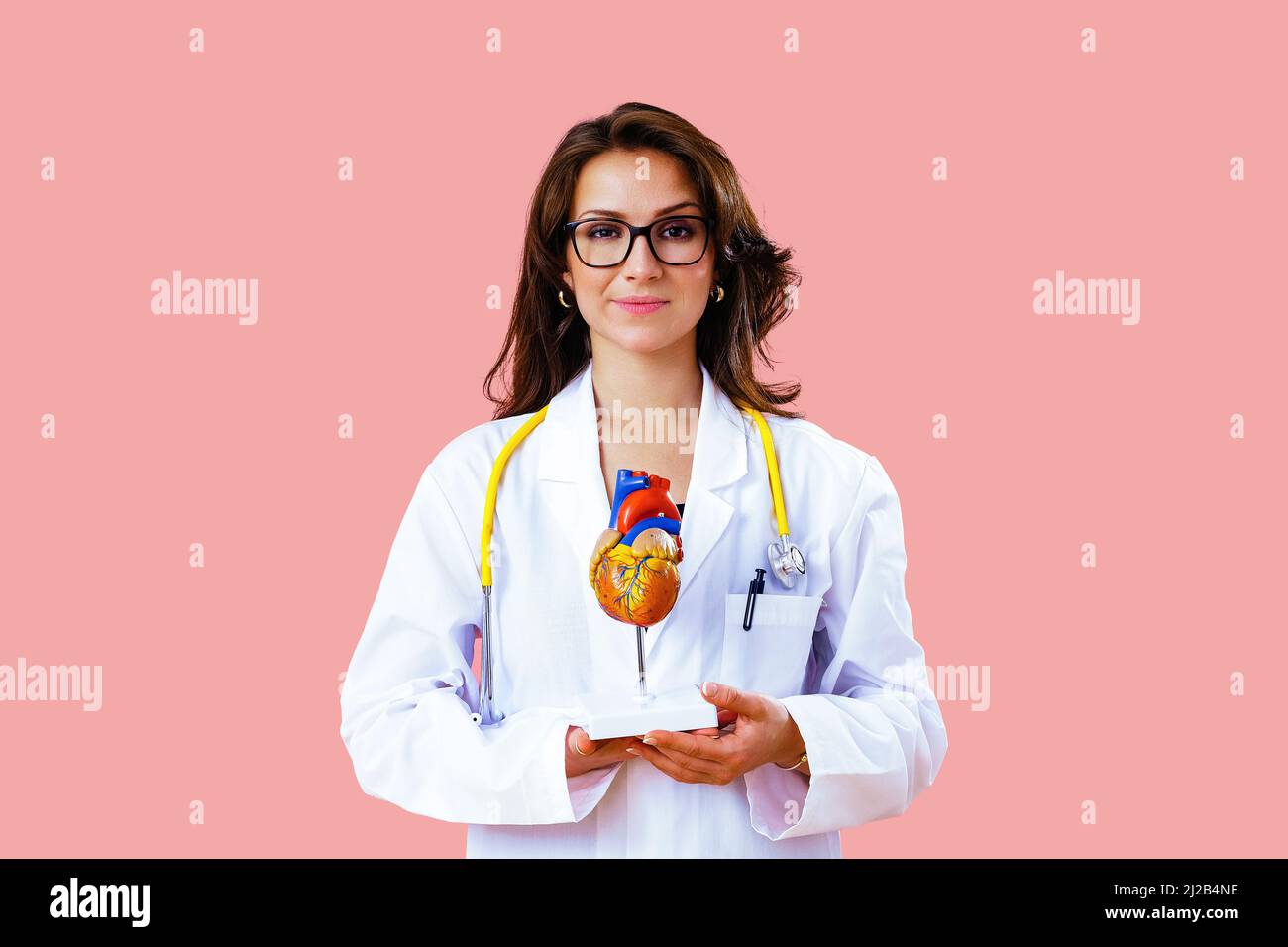Female doctor cardiologist with stethoscope is holding a model of human ...