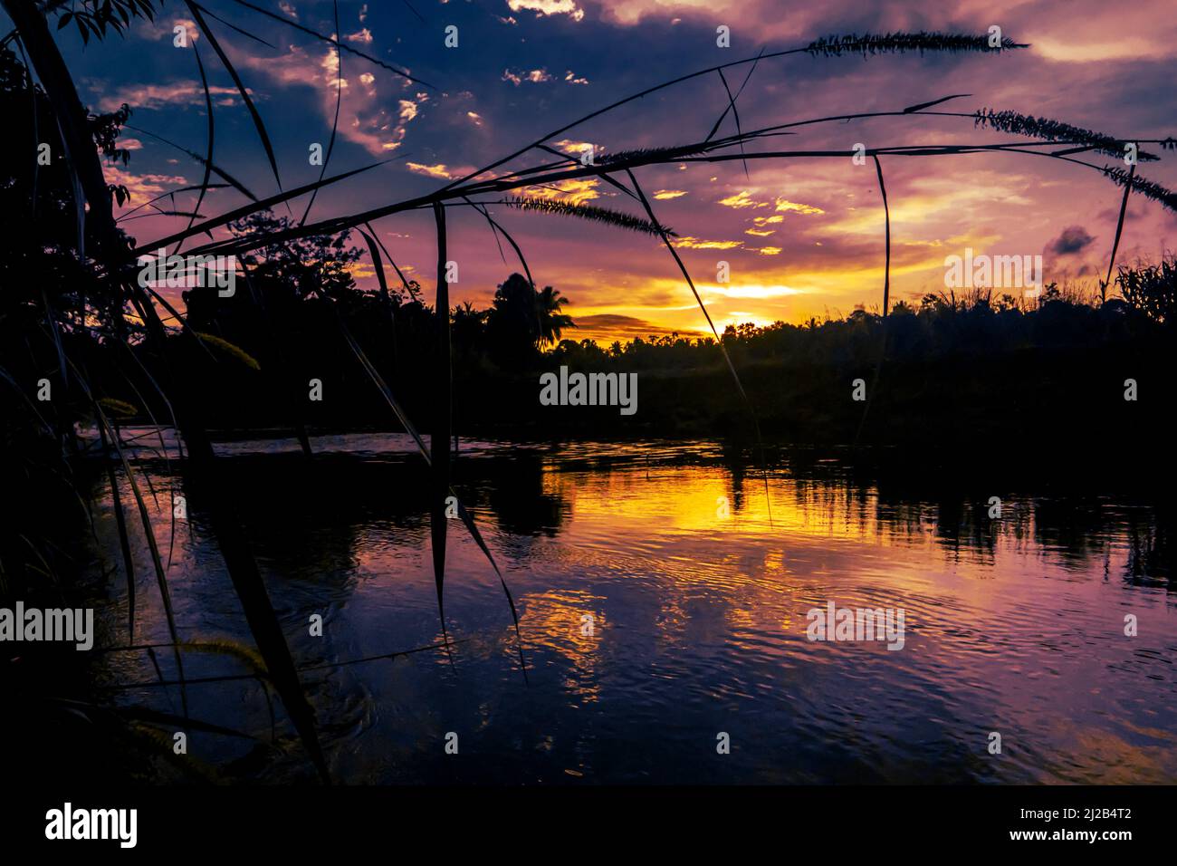 A scenic view of a sunset above a lake surrounded with greenery Stock ...