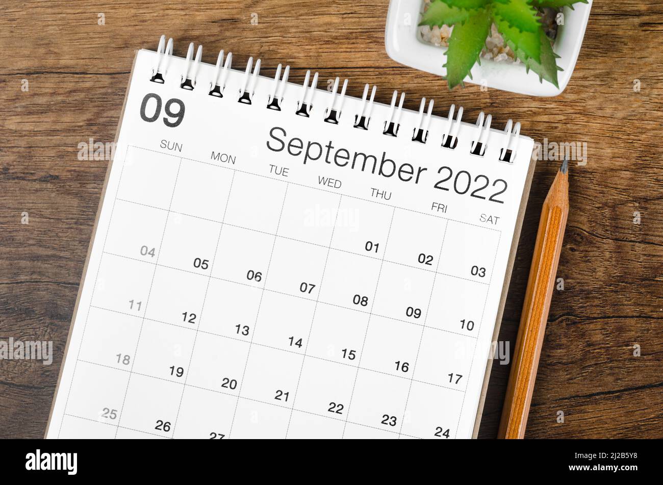The September 2022 desk calendar with plant on wooden table Stock Photo ...
