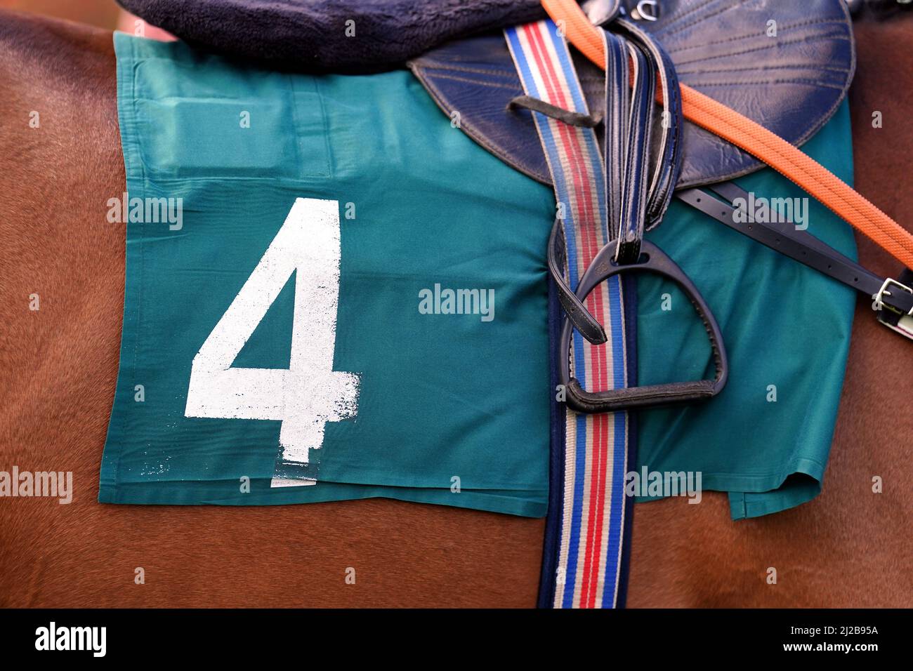 Detail of a horses saddlecloth at Warwick racecourse, Warwick. Picture date: Thursday March 31, 2022. Stock Photo