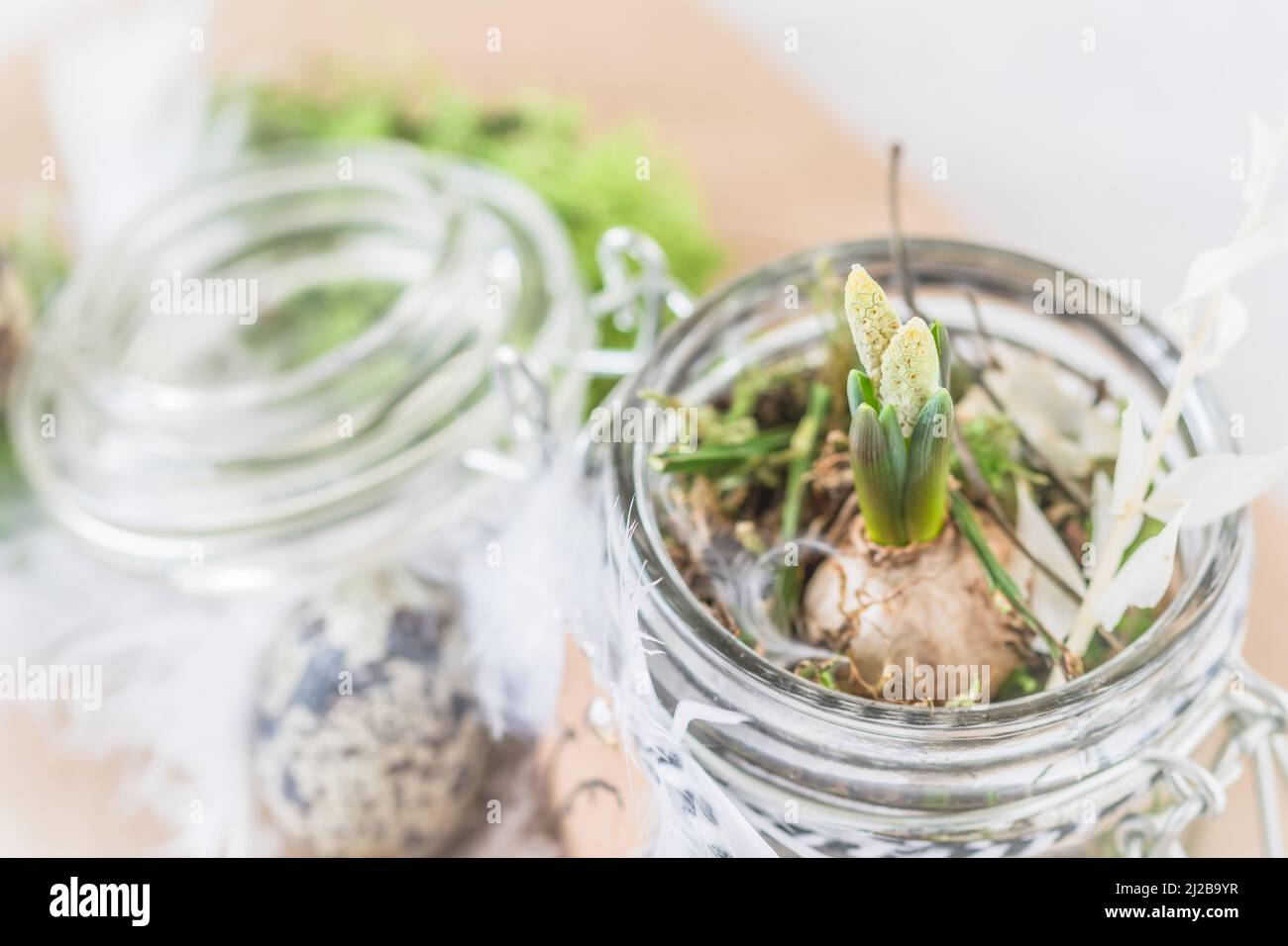 Preserving beauty hi-res stock photography and images - Alamy
