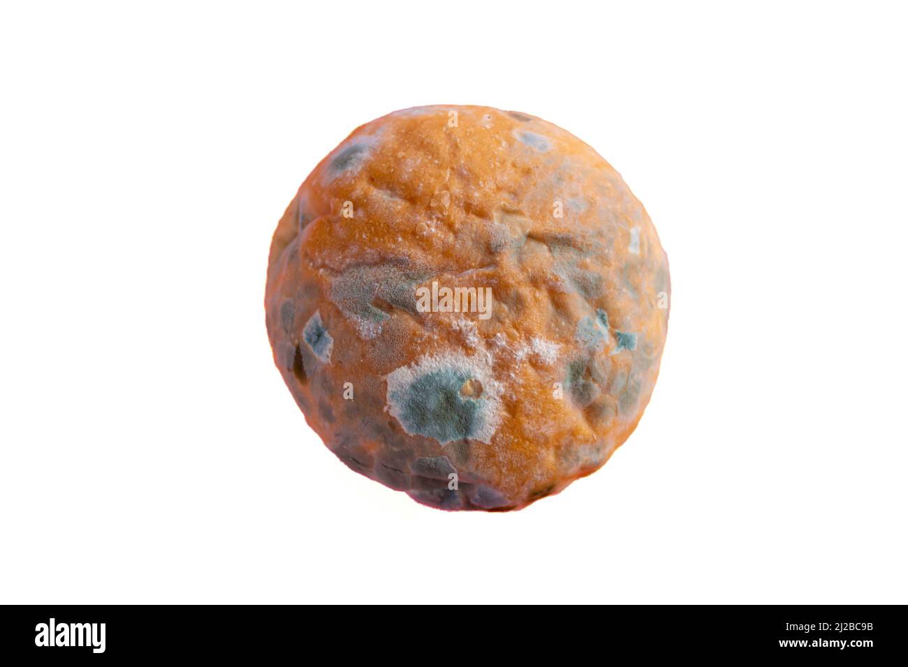 Top view moldy bread isolated on white background. Rotten bread. Mildew covered food. Stock Photo