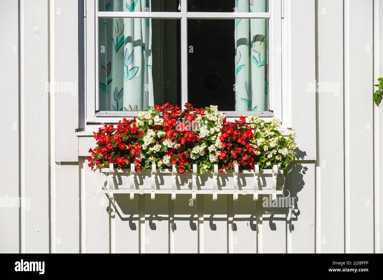 Flower box with red and white flowers at a window of a white wooden house. Stock Photo