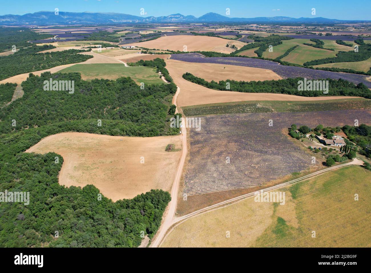Aerial view of the lavender fields on the Plateau de Valensole in the Alpes-de-Haute-Provence in the South of France Stock Photo