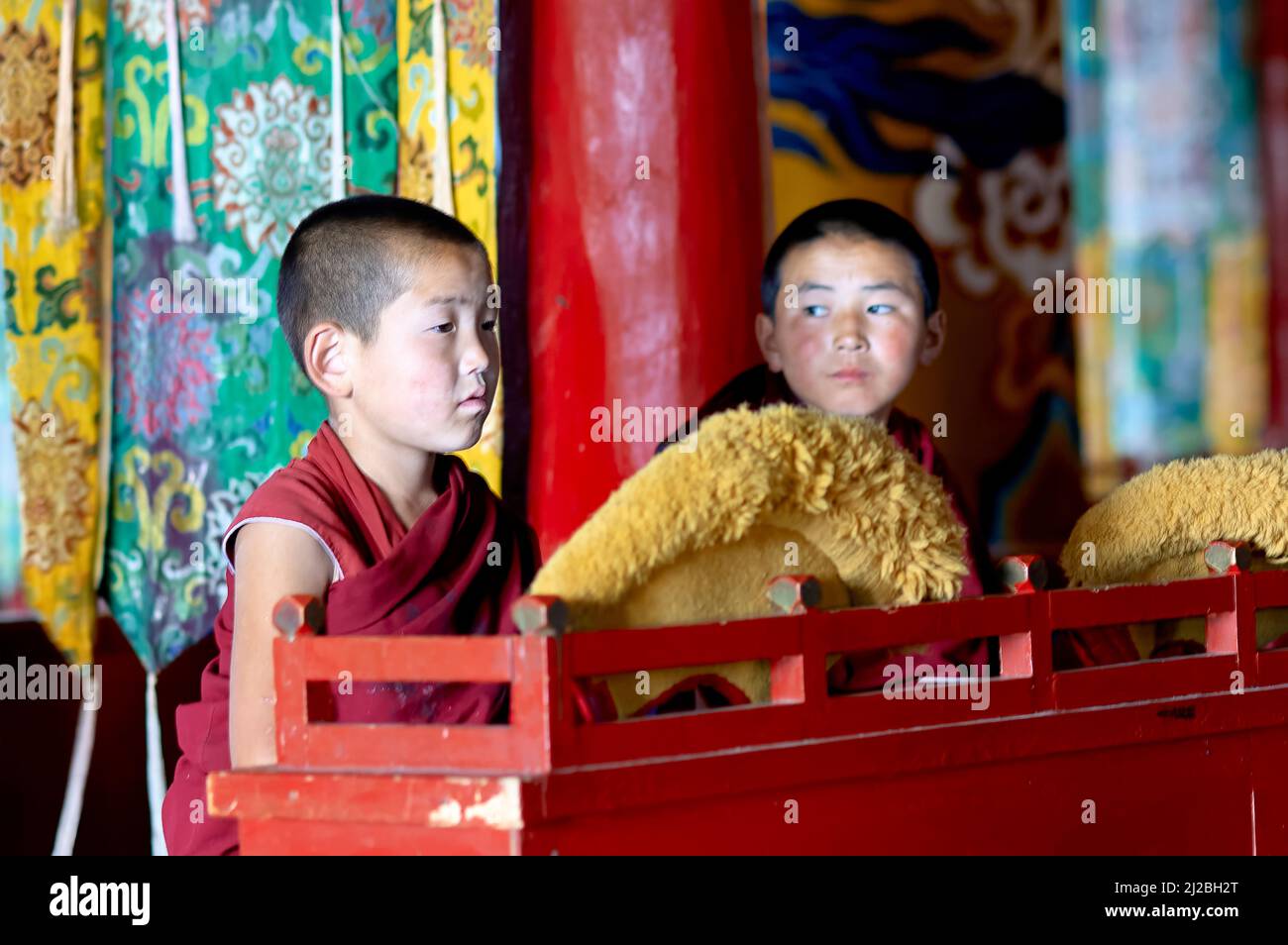Mongolia. Young monks in Amarbayasgalant Monastery Stock Photo
