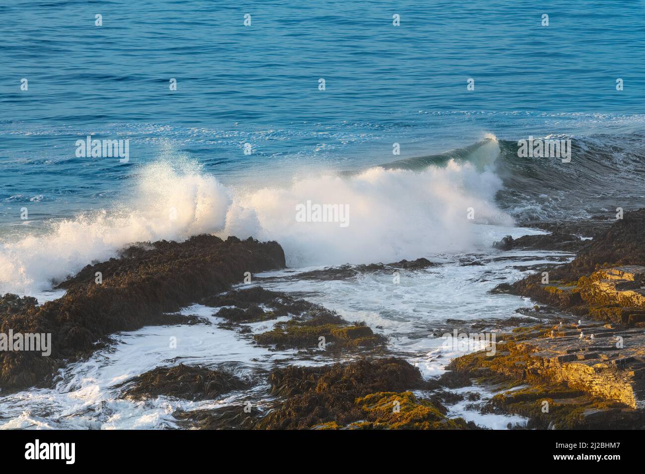 VIew from above of a wave breaking in the coast of Pichilemu, Chile Stock Photo