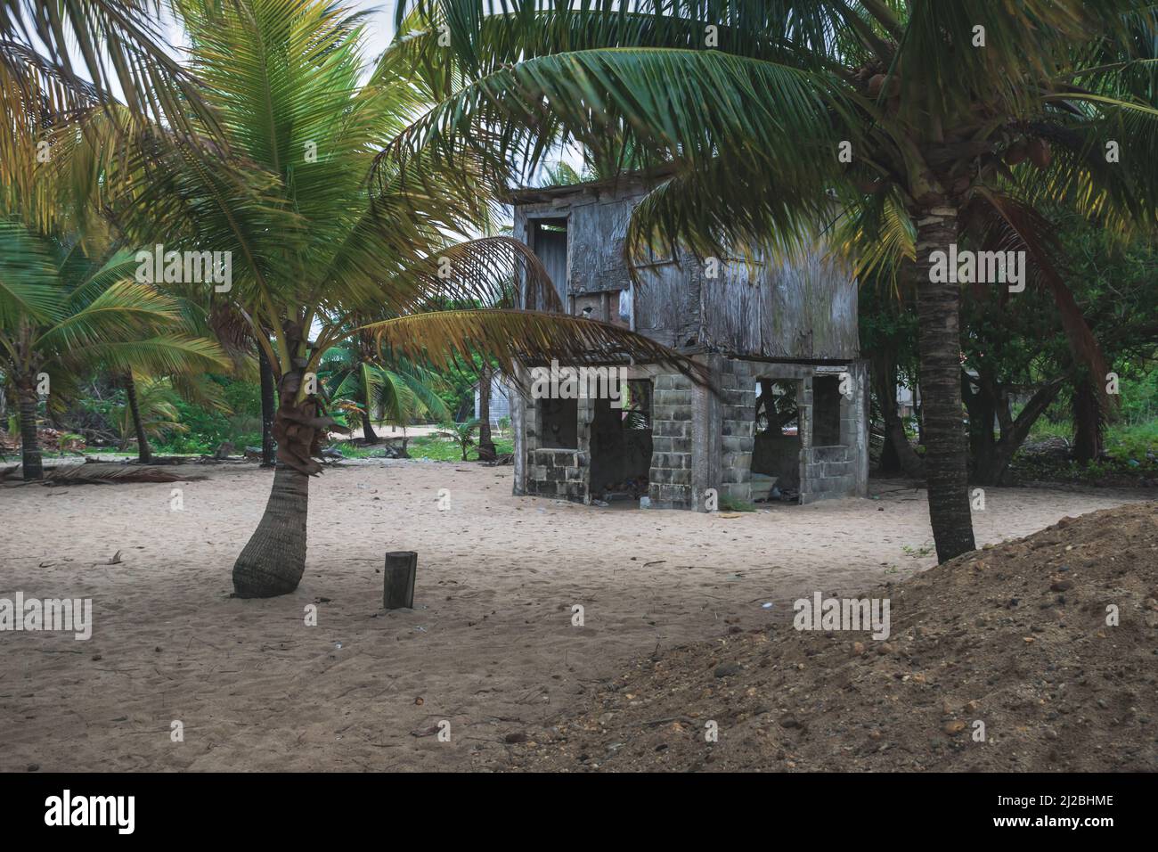 Abandoned house between palm trees at the sand beach of Hopkins, Belize Stock Photo