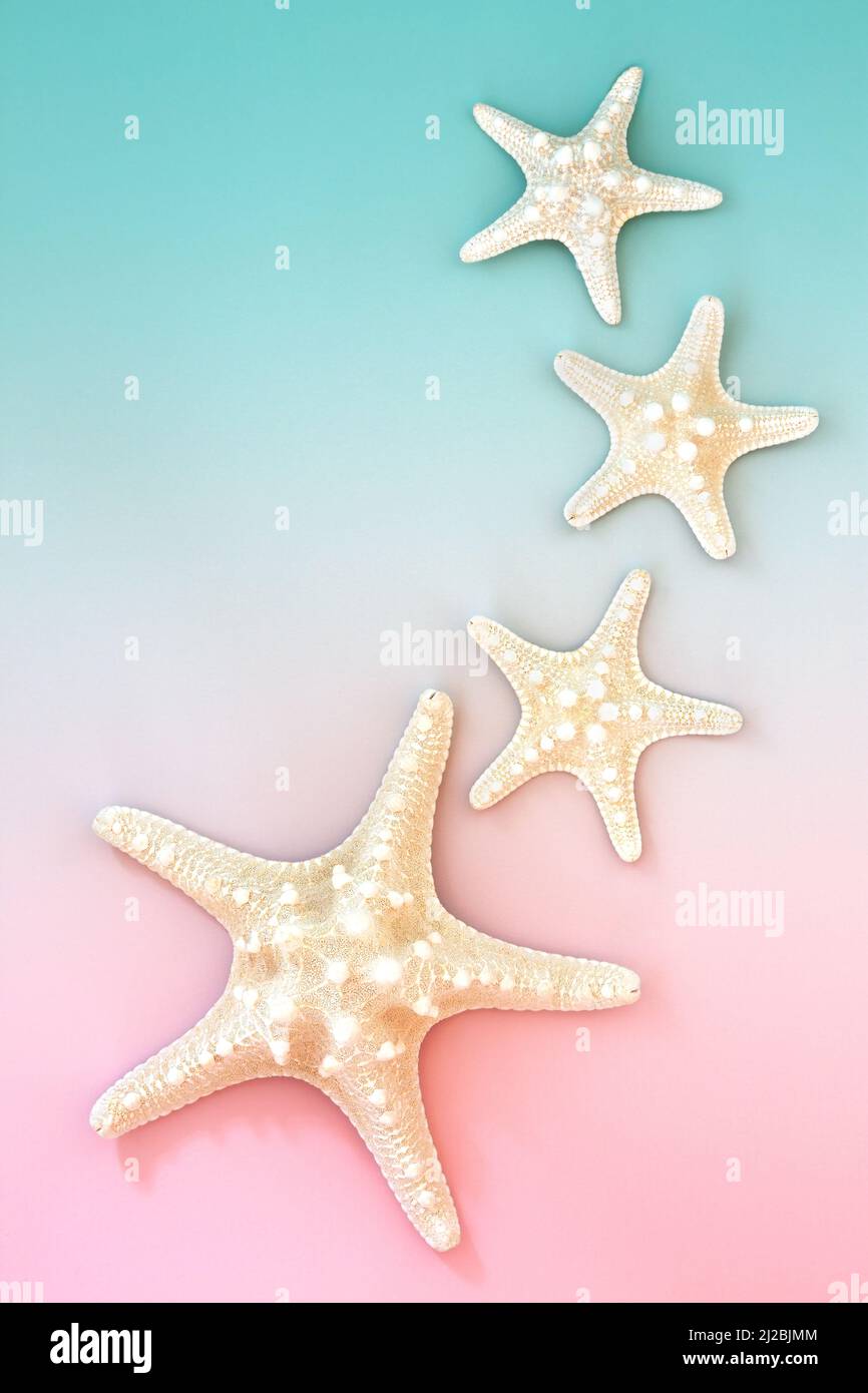 Starfish seashell creative background on pastel pink and blue. Abstract ...