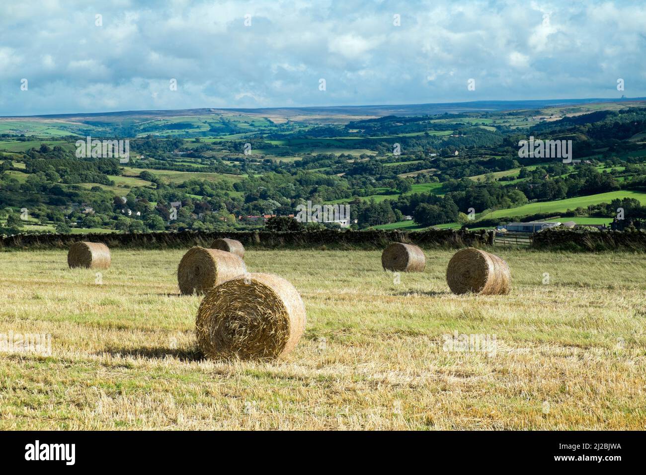 Round bales with rolling countryside Stock Photo