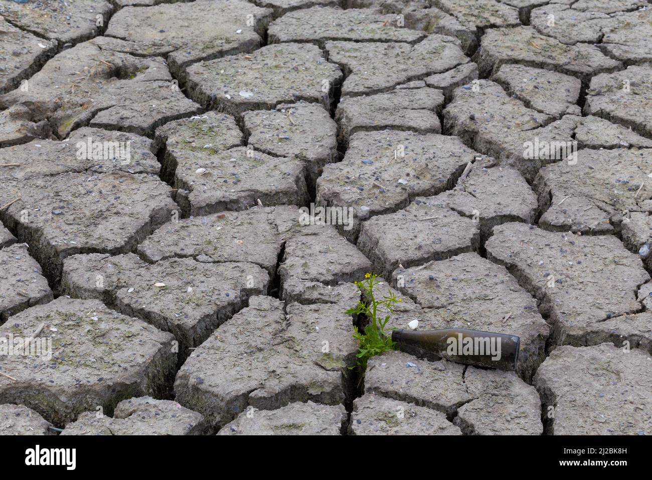 Umweltzerstörung, Durst, Öde, Trockenheit Stock Photo