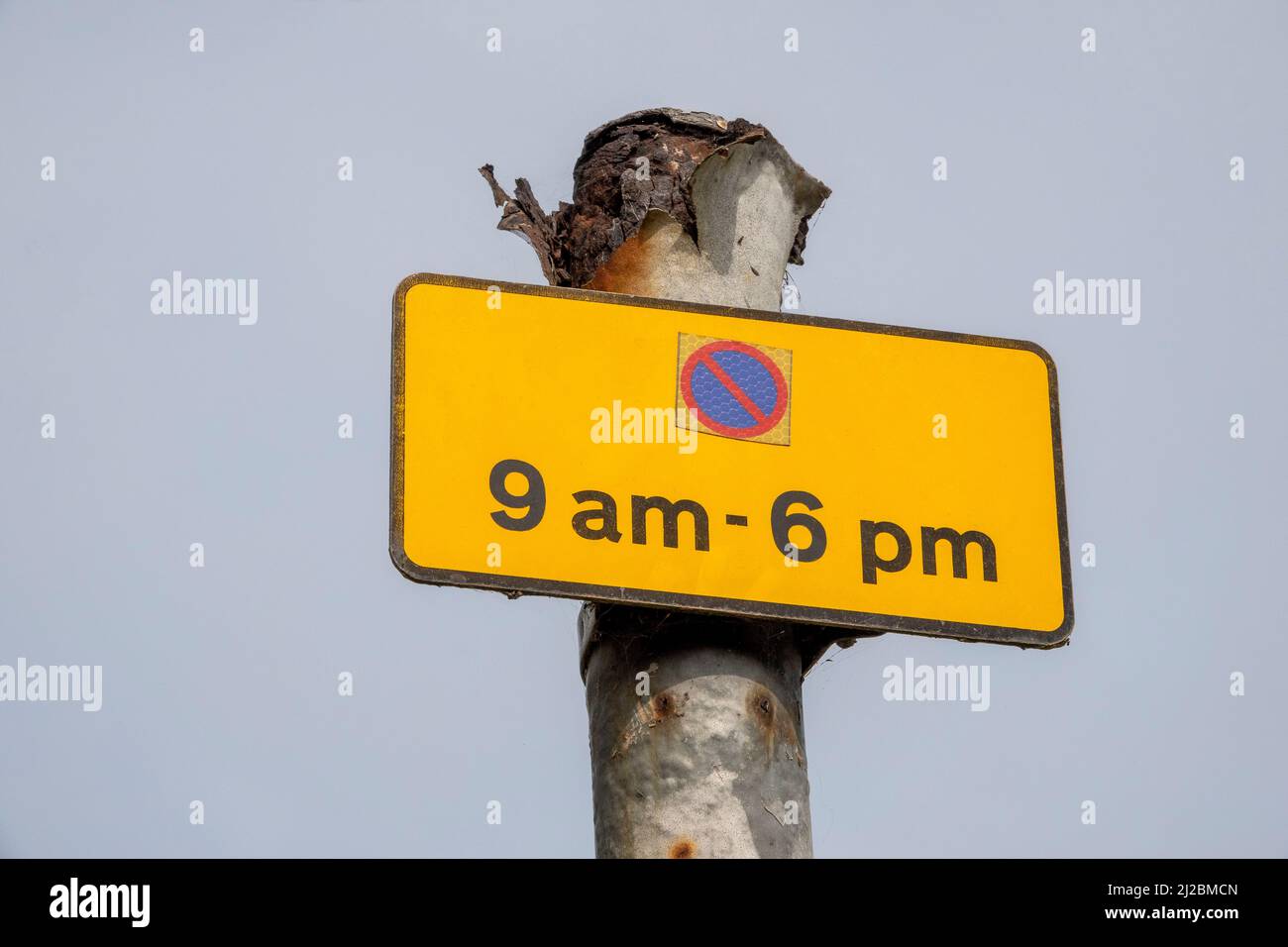 Small rectangular parking restriction sign black on yellow with red and blue symbol for the hours of 9am to 6pm mounted on a very corroded metal pole Stock Photo