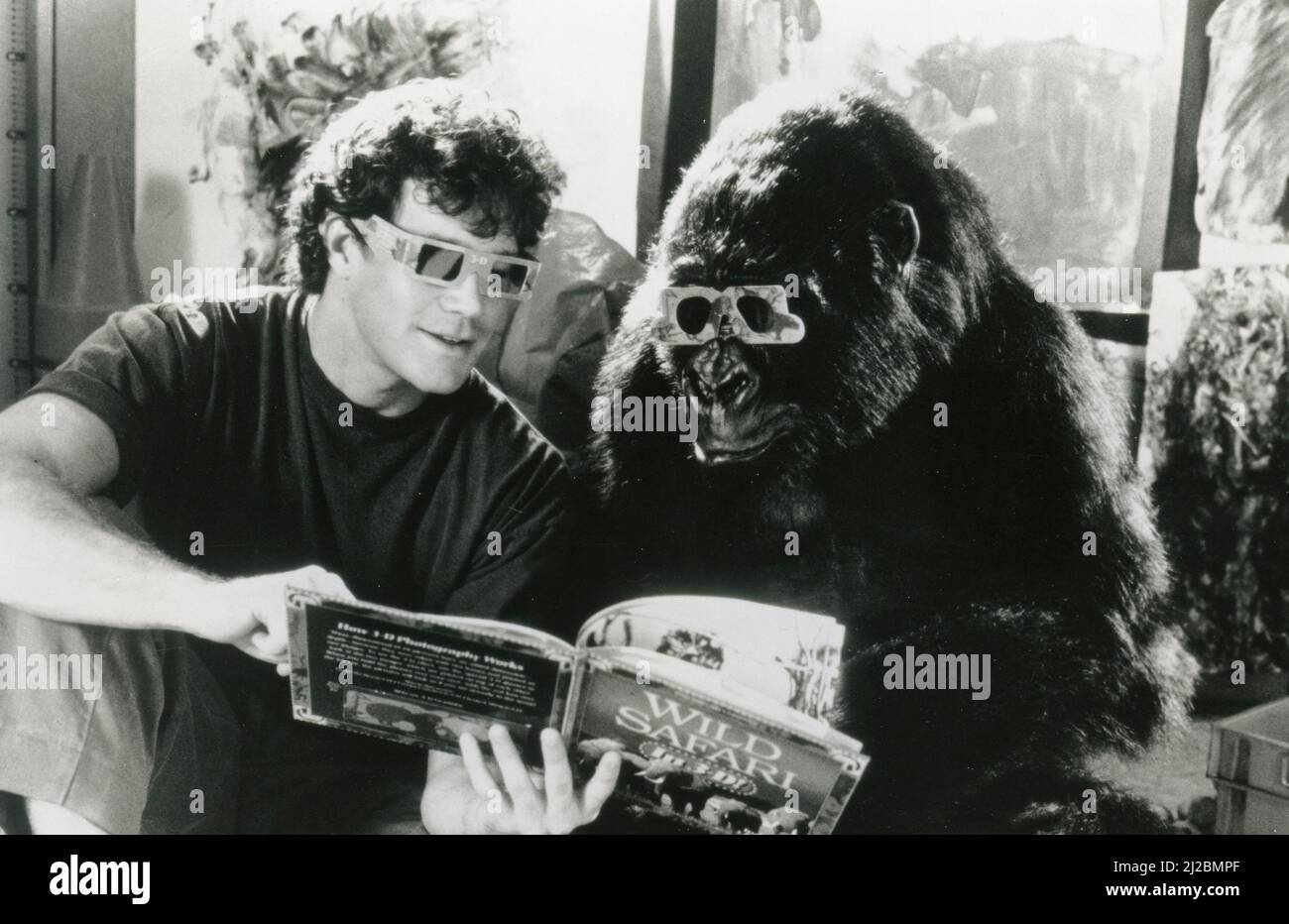 Actor Dylan Walsh and the Gorilla Amy in the movie Congo, USA 1995