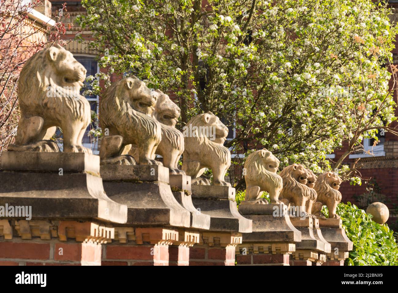 Closeup of James Nicholl's lion statues on the gates of Lion Houses in