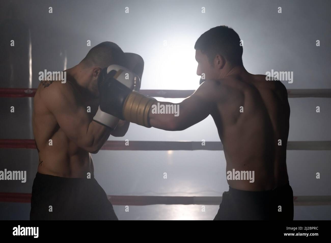 Two muscular mixed martial arts athletes fighting in the ring. High