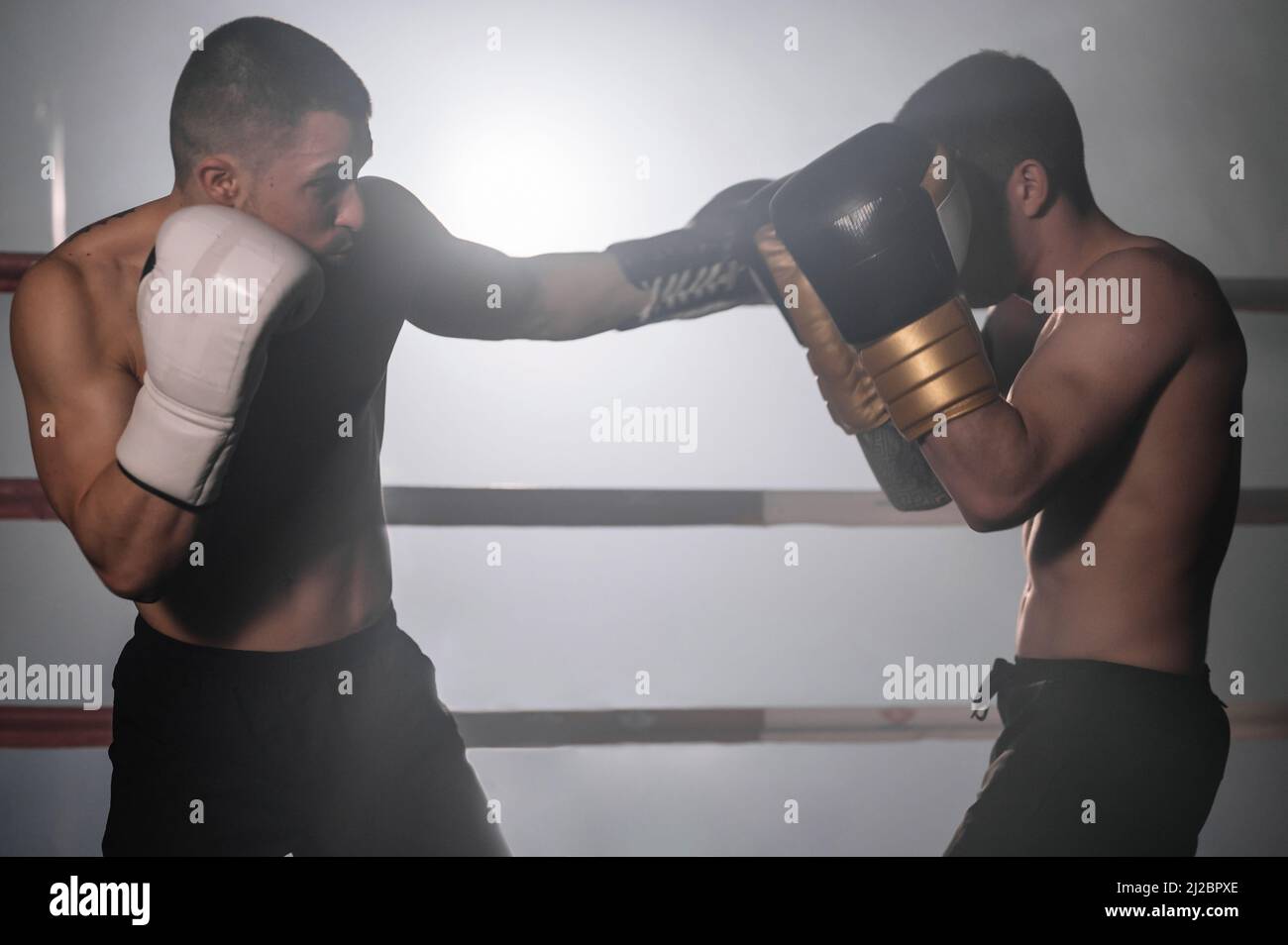 Two muscular mixed martial arts athletes fighting in the ring. High