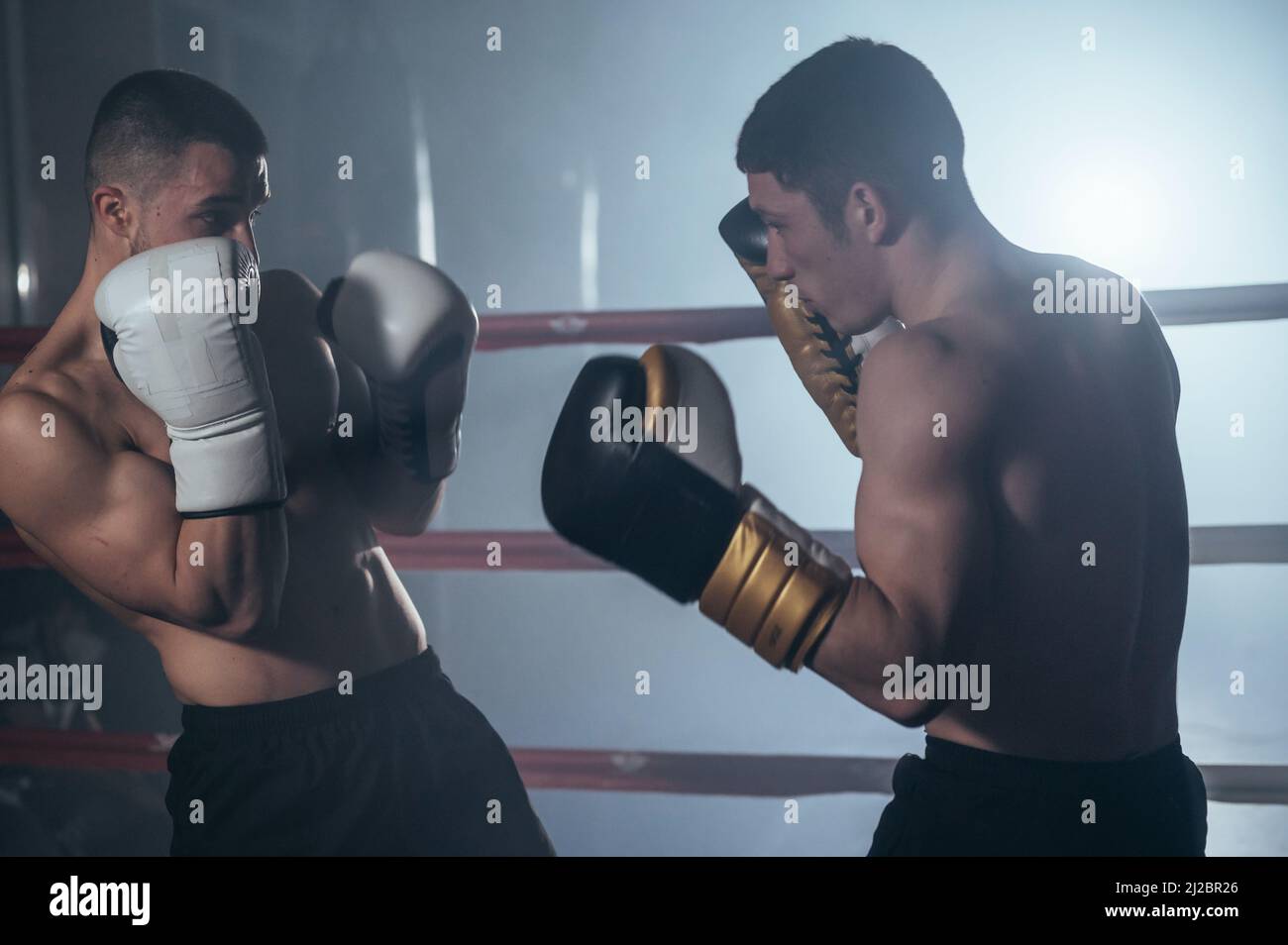 Two muscular mixed martial arts athletes fighting in the ring. High