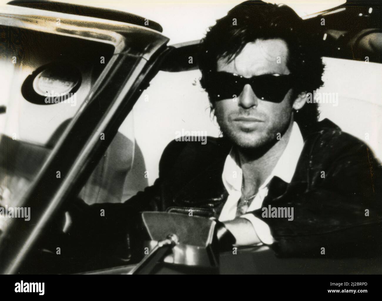 Irish actor Pierce Brosnan in the movie Taffin, USA 1988 Stock Photo Alamy