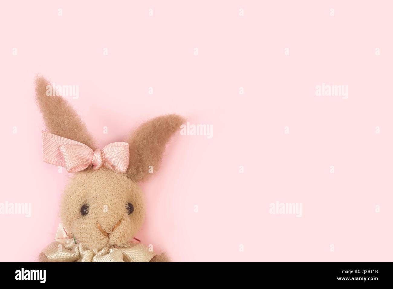Stuffed rabbit on a pink background with copy space Stock Photo - Alamy