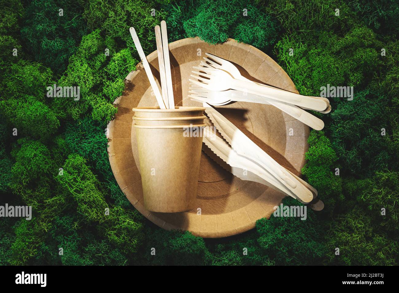 Disposable tableware from natural materials on green moss background