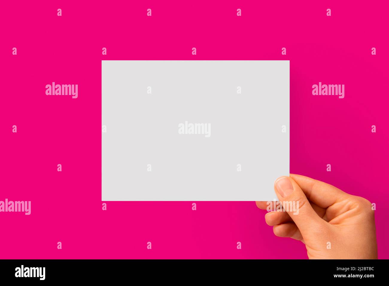 Woman's hand holding white blank paper on a pink background Stock Photo