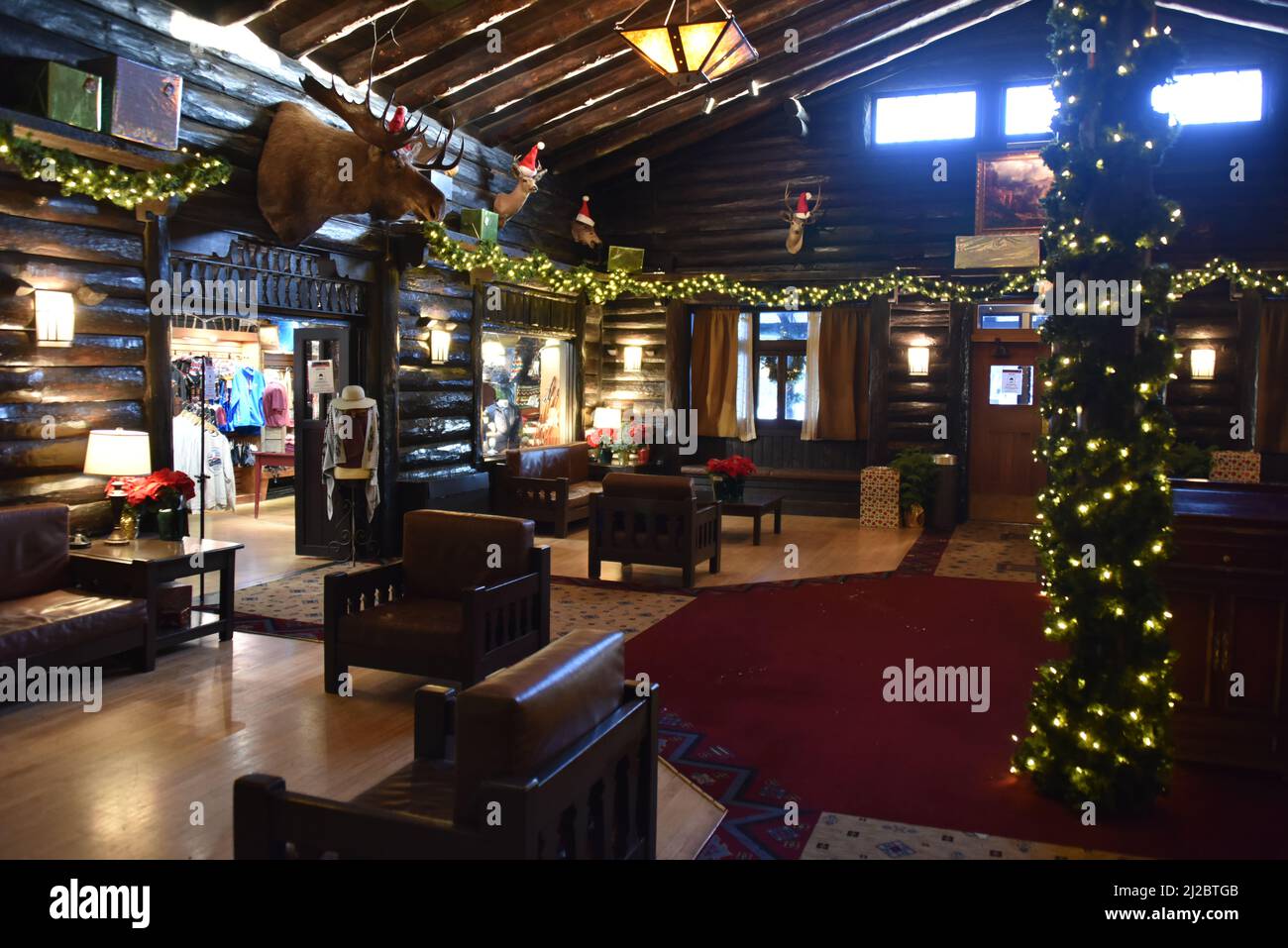 El tovar taxidermy hi-res stock photography and images - Alamy