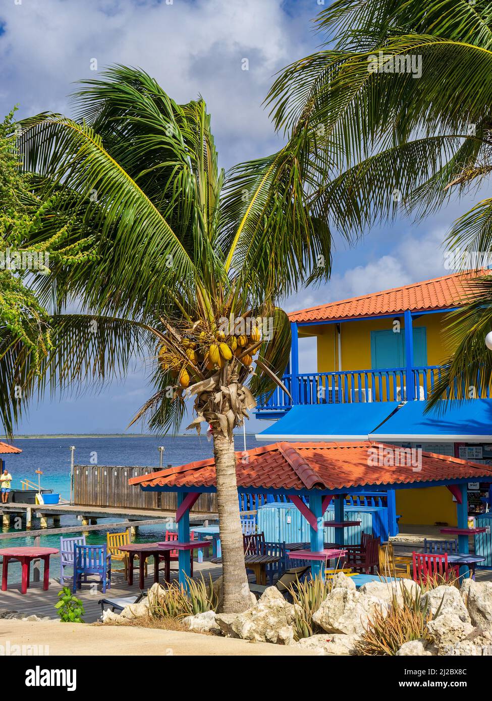 Divi flamingo resort hi-res stock photography and images - Alamy