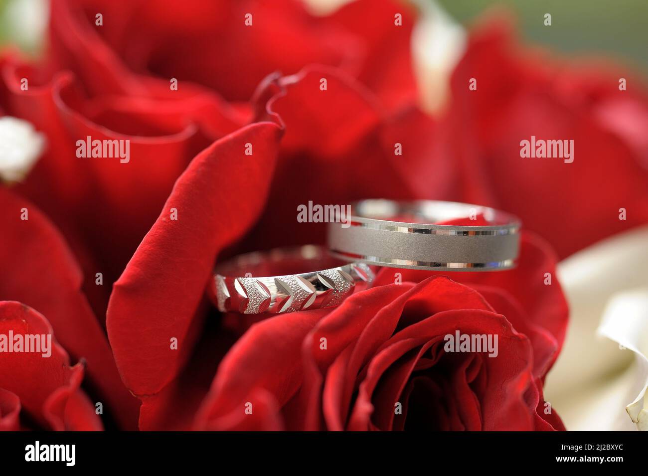Silver rings hi-res stock photography and images - Alamy