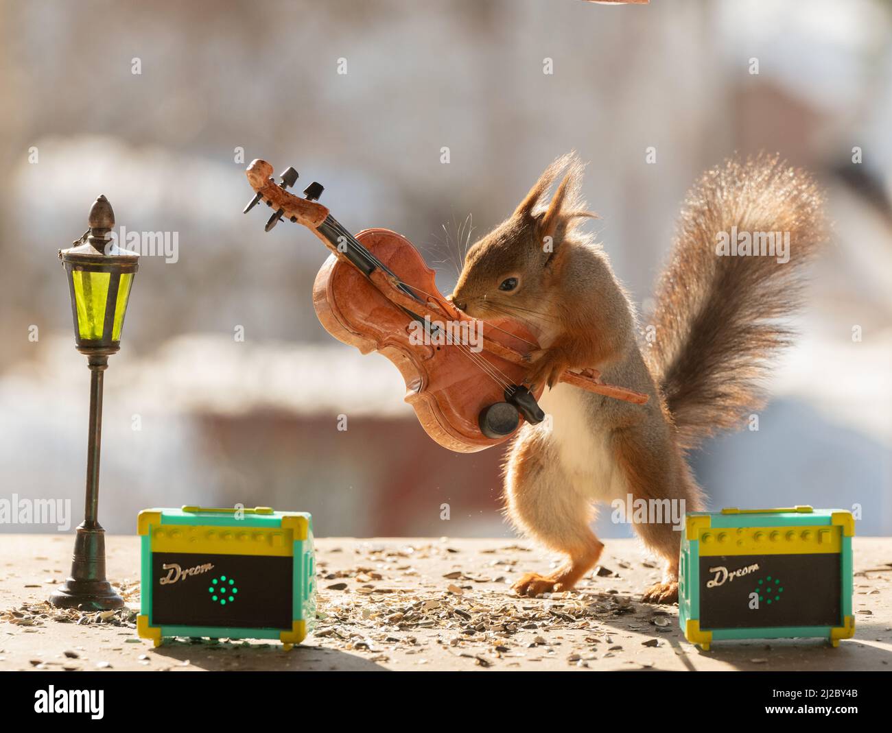 Squirrels With Lightsabers