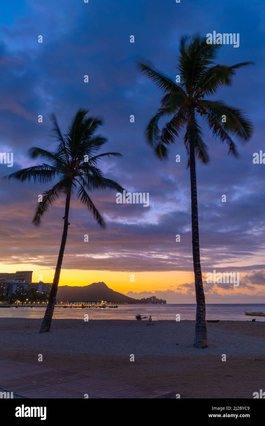 Palm trees on waikiki hi-res stock photography and images - Alamy
