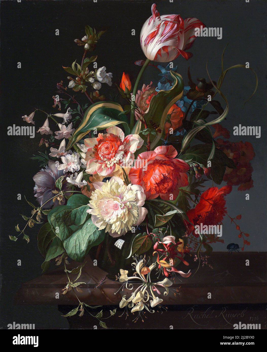 Flowers in a Glass Vase with a Tulip by Rachel Ruysch (1664-1750), oil on canvas, 1716 Stock Photo