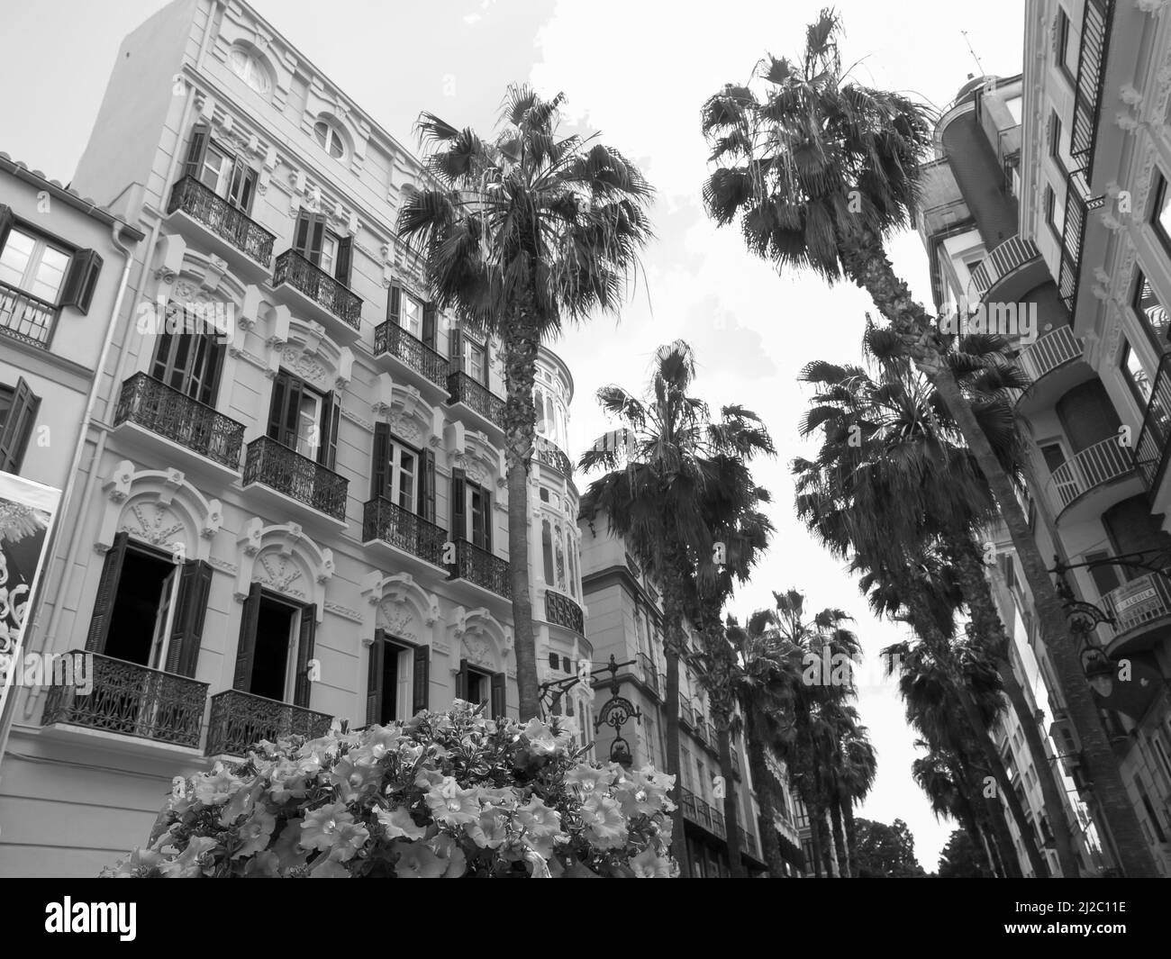 malaga city in spain Stock Photo Alamy