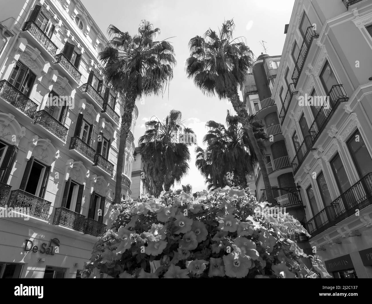 malaga city in spain Stock Photo Alamy