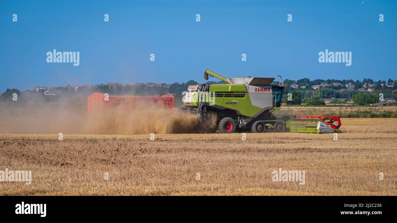 Combine harvester at work cutting crops in a field at Heacham