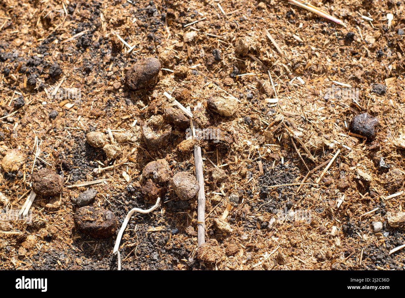 Natural fertilizer made with horse defecation materials, horse