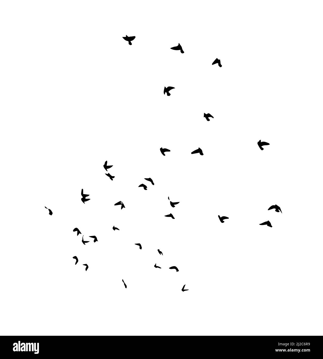 A flock of flying birds. Free birds. Vector illustration Stock Vector