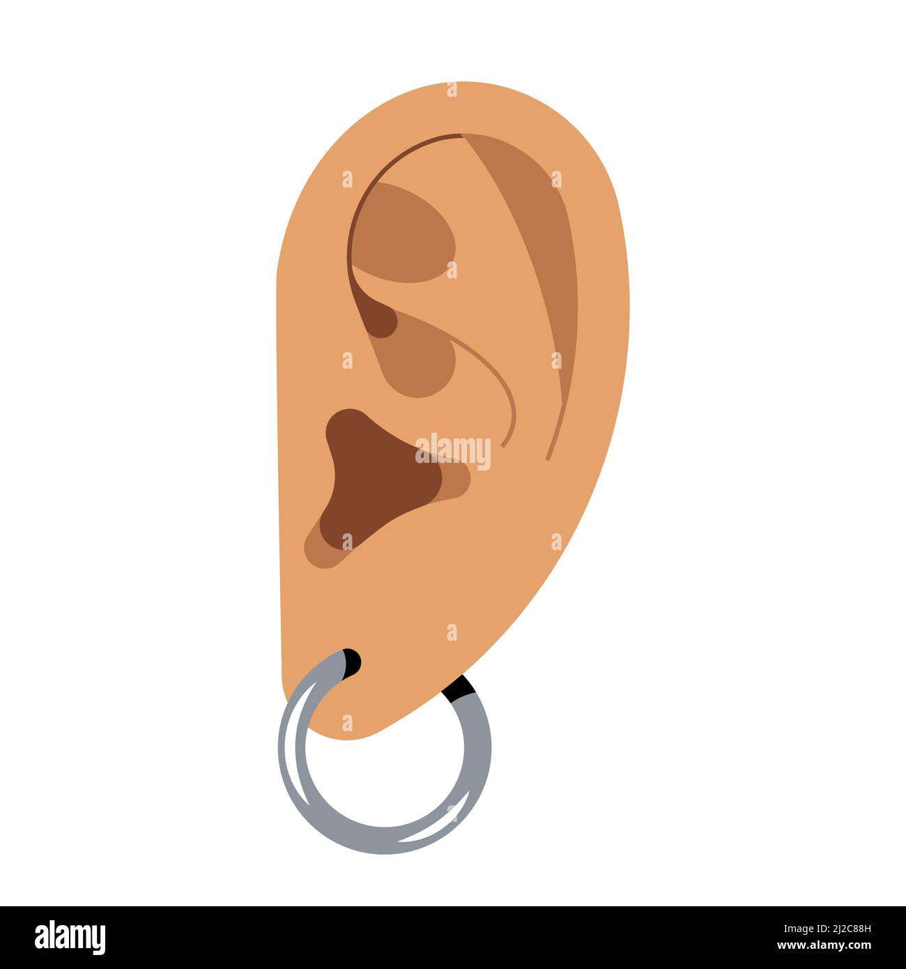 Ear with a silver earring. Piercing. Auricle. Organ of hearing. Vector