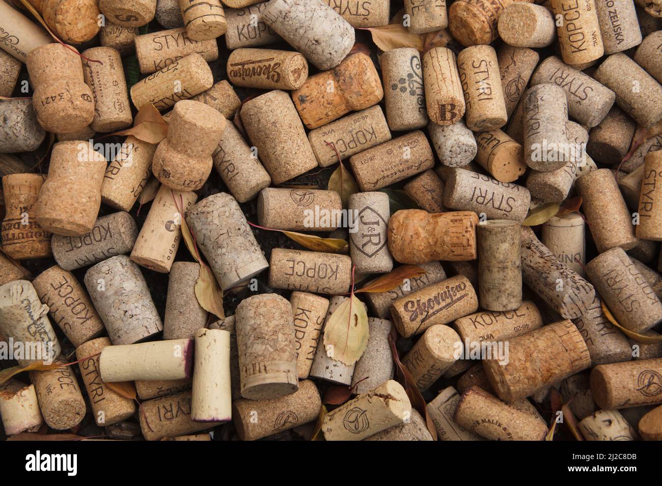 Wine corks. Background texture. Stock Photo