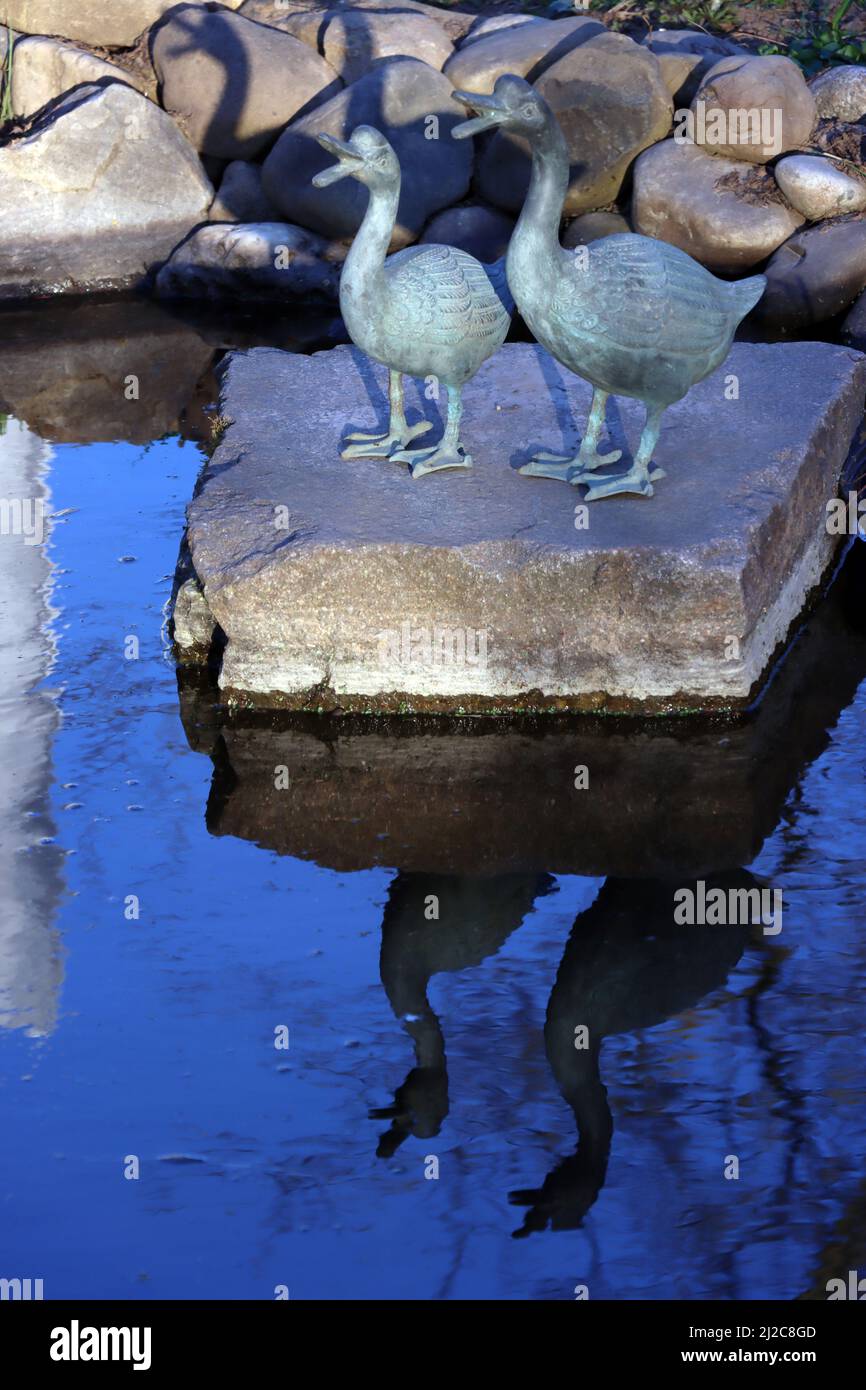 zwei dekorative Enten aus Metall spiegeln sich im Gartenteich Stock