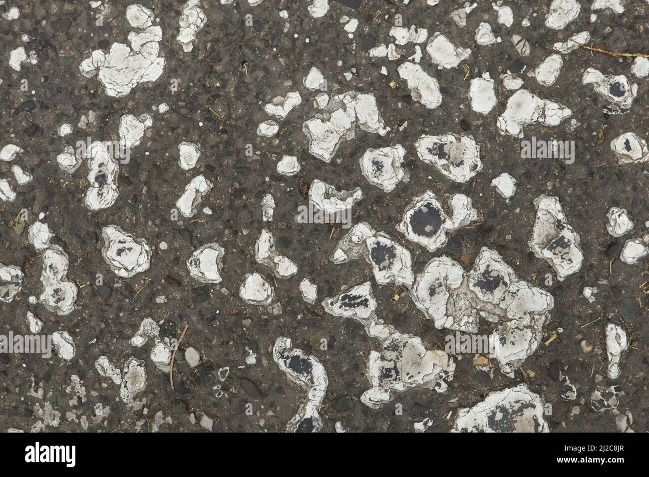 White paint on the pavement. Background texture Stock Photo - Alamy