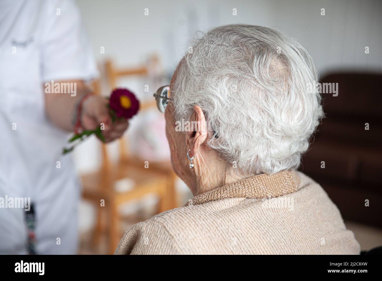 Frail old person nurse hi-res stock photography and images - Alamy