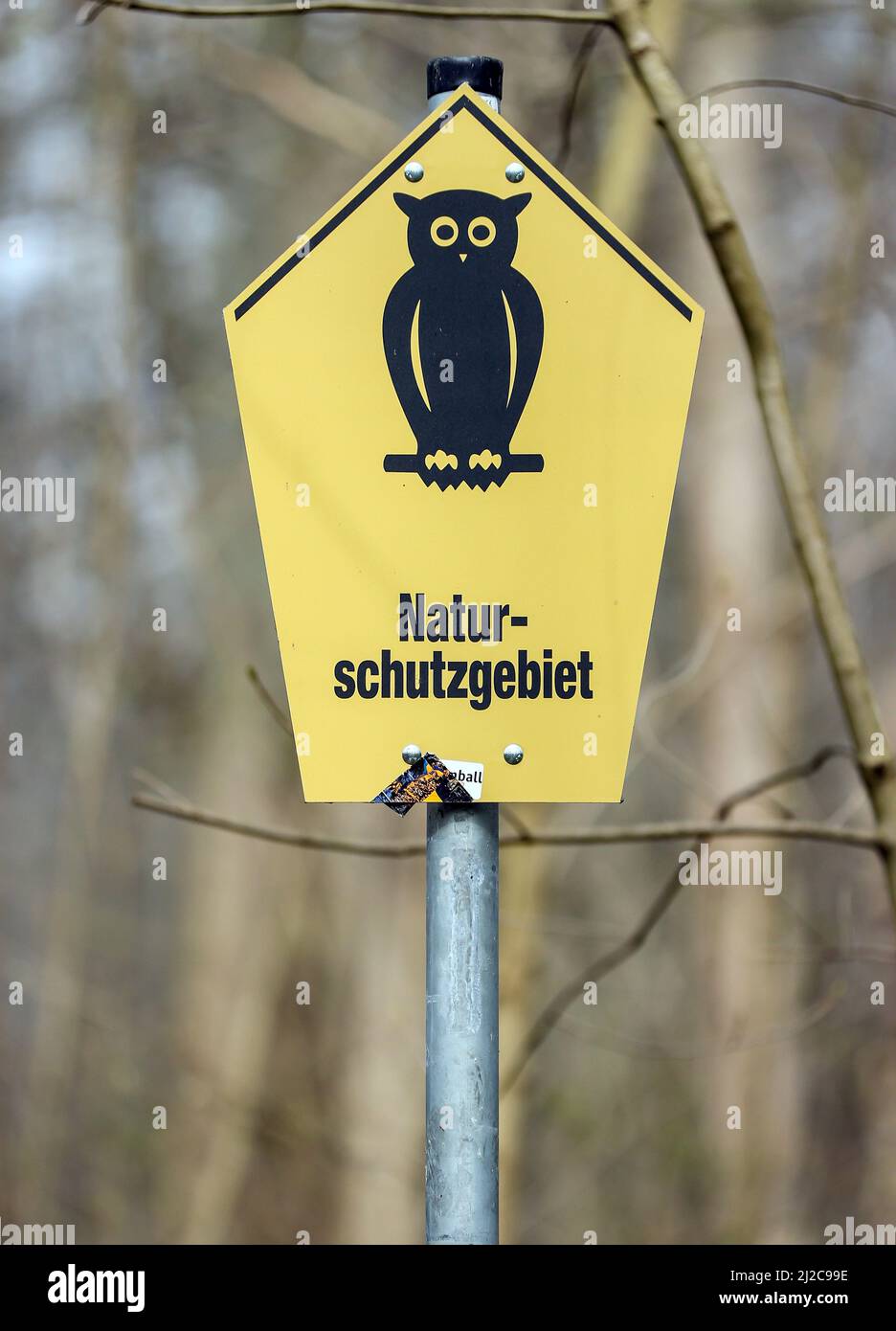 Leipzig, Germany. 29th Mar, 2022. A 'nature reserve' sign stands in Leipzig's floodplain forest. As part of the long-term project 'Paußnitz Flooding', an area of almost five hectares in the nature reserve (NSG) 'Elster- und Pleißeauwald' is flooded for 14 days every year. The results so far have been positive: the tree population increasingly includes woody plants typical of the floodplain forest, such as the field elm. In addition, more moisture-loving snail and beetle species can be observed. Credit: Jan Woitas/dpa-Zentralbild/ZB/dpa/Alamy Live News Stock Photo