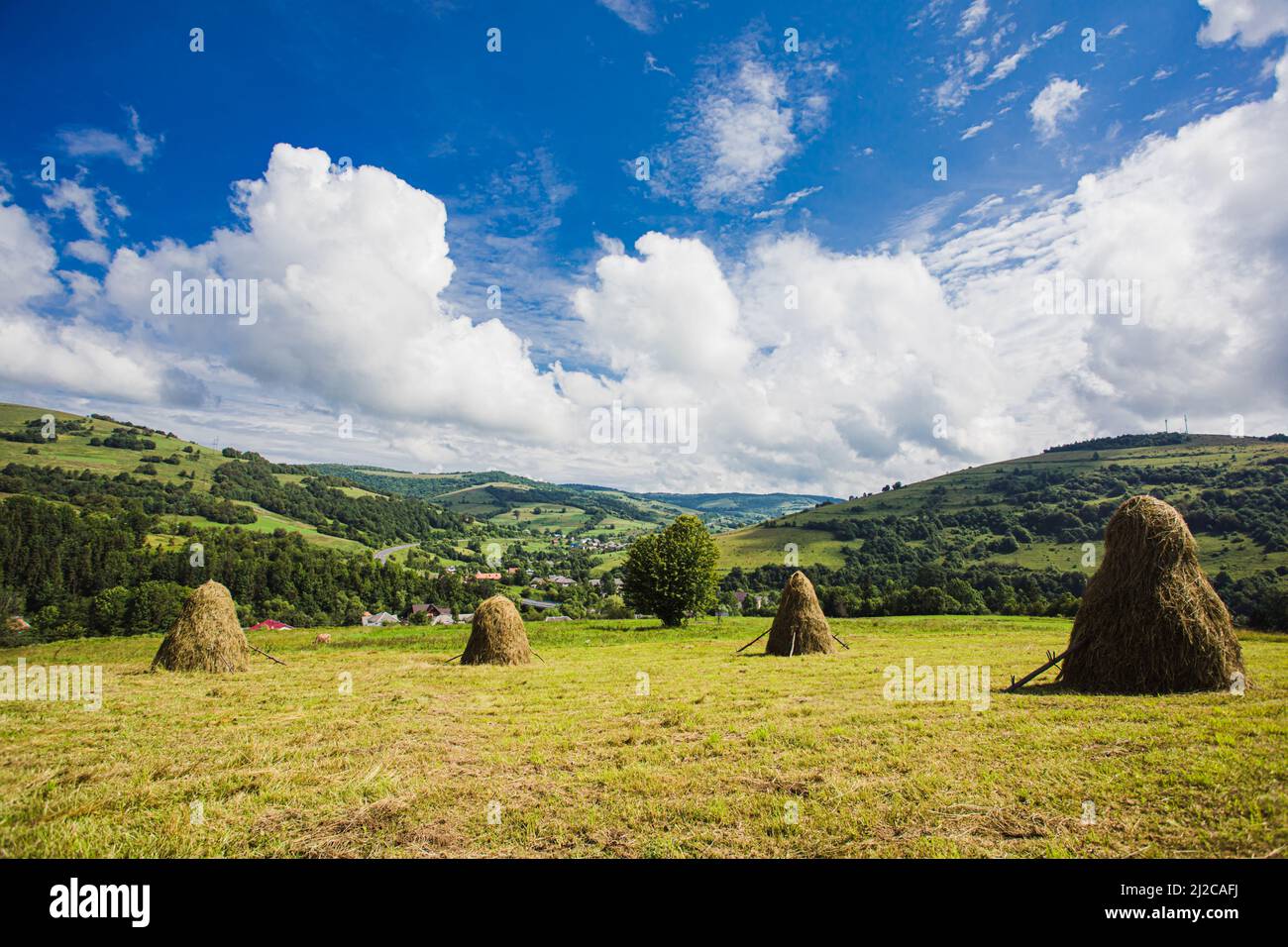 Idyllic landscape in the mountains with fresh green meadows Stock Photo ...