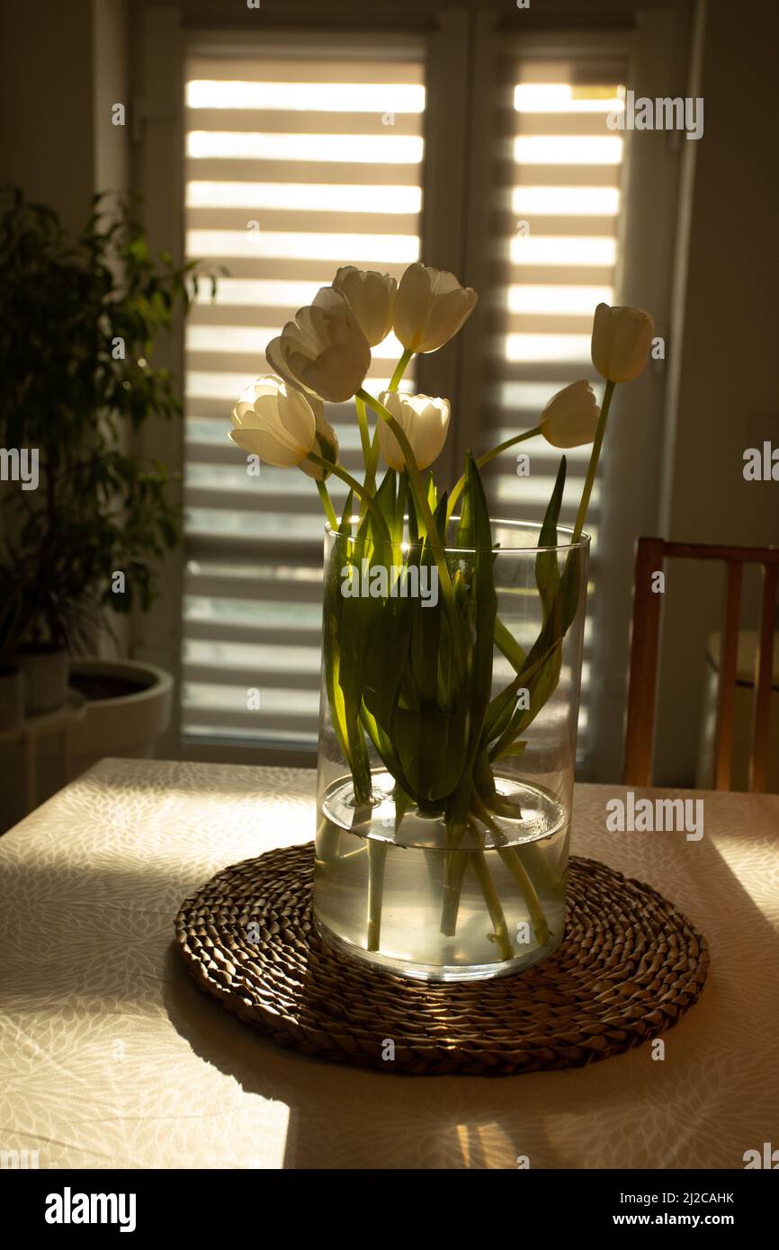 Spring flowers - white tulips in glass vase on wooden table Stock Photo