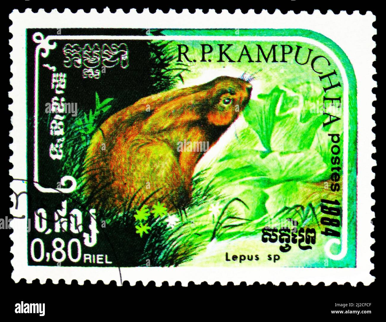 MOSCOW, RUSSIA - MARCH 13, 2022: Postage stamp printed in Kampuchea (Cambodia) shows Hare (Lepus sp.), Wild Animals serie, circa 1984 Stock Photo