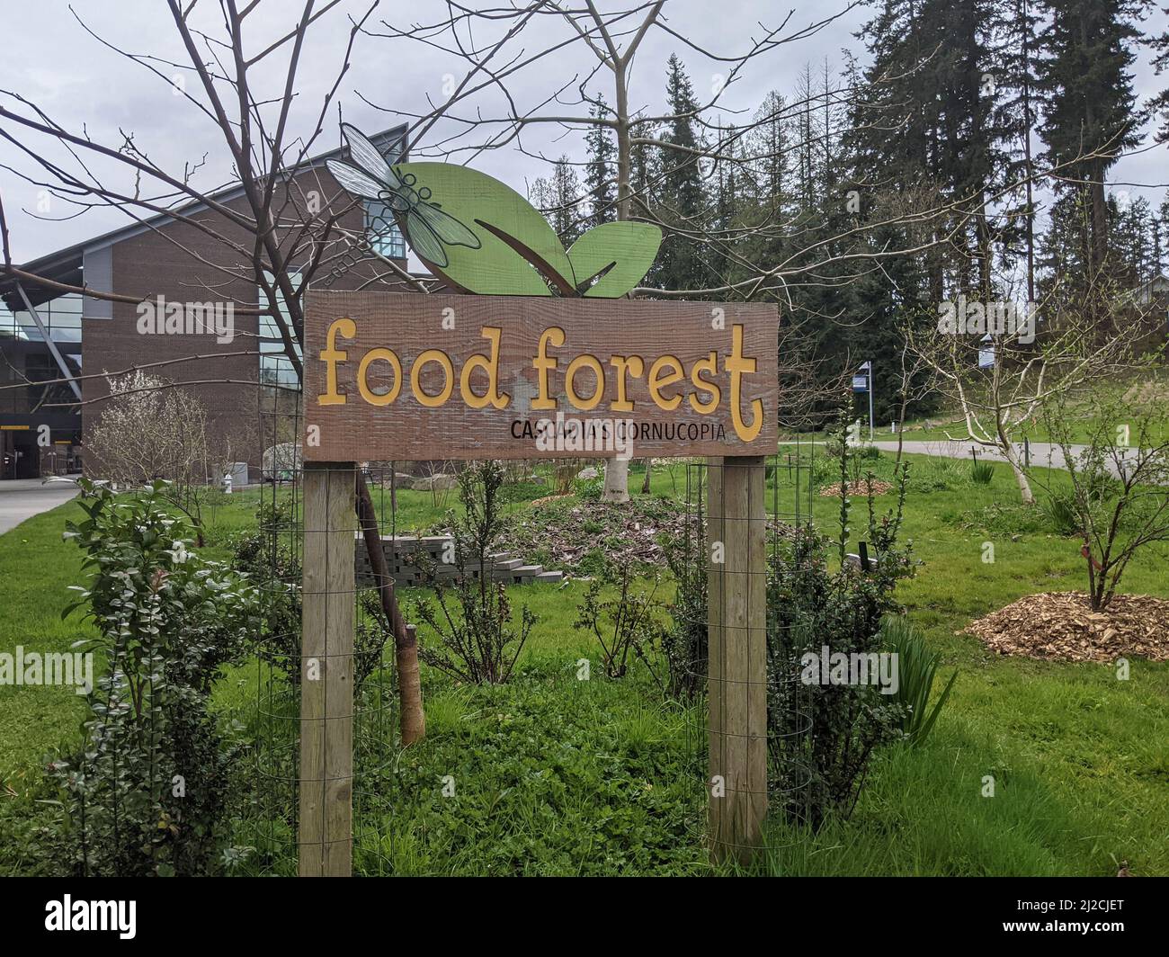 Bothell, WA USA - circa April 2021: View of the Food Forest at the ...