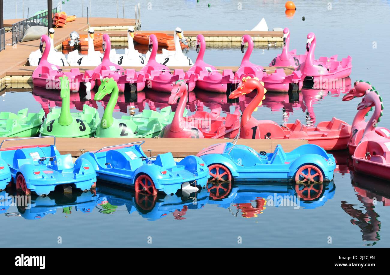Very colourful novelty pedalos at Willen Lake in Milton Keynes - swans, flamingos, dragons and motor cars. Stock Photo