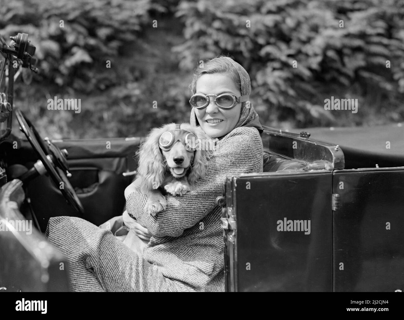 Hollywood actress Doreen Sinclair with a dog in an open car, both wearing aviator goggles on ca. 1930s-1950s Stock Photo
