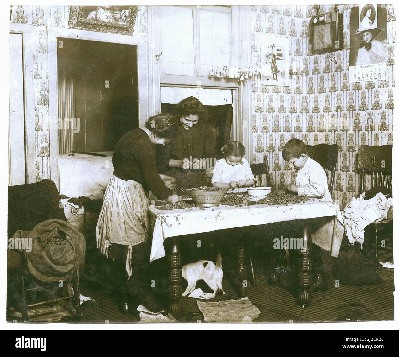 An immigrant family picks nuts inside their tenement home, New York, New York, December 1911. Photography by Lewis Wickes Hine (1874 - 1940). Stock Photo